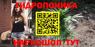не бодяженный Гусь-Хрустальный